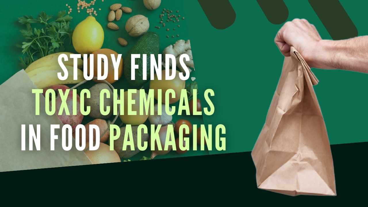 Study Finds Cancer-Linked 'Forever Chemicals' In Fast Food Packaging