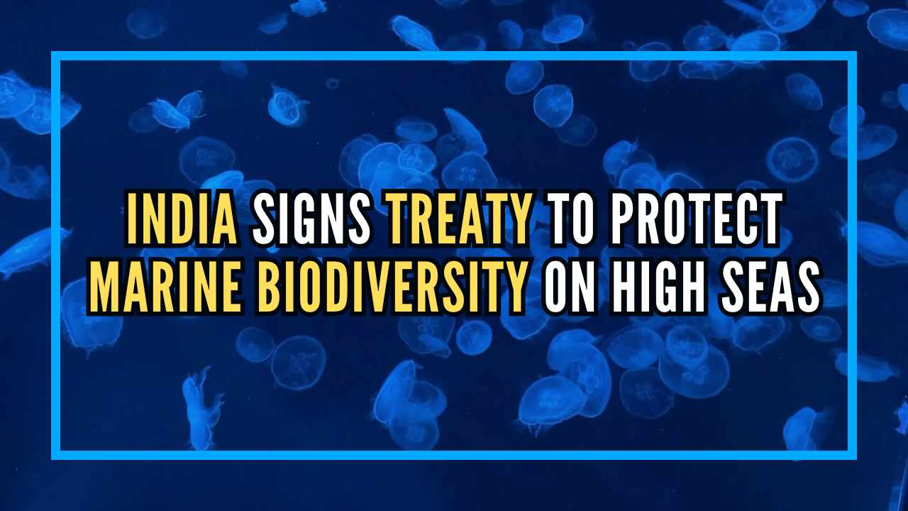 India signs historic treaty to safeguard marine biodiversity on high seas