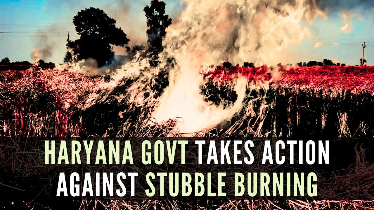 Haryana government takes action against stubble burning; 24 officials suspended, 6 farmers booked